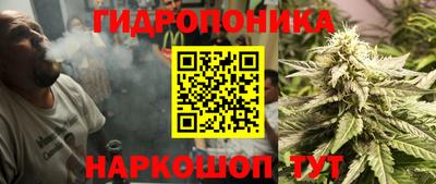 jwh Лесосибирск