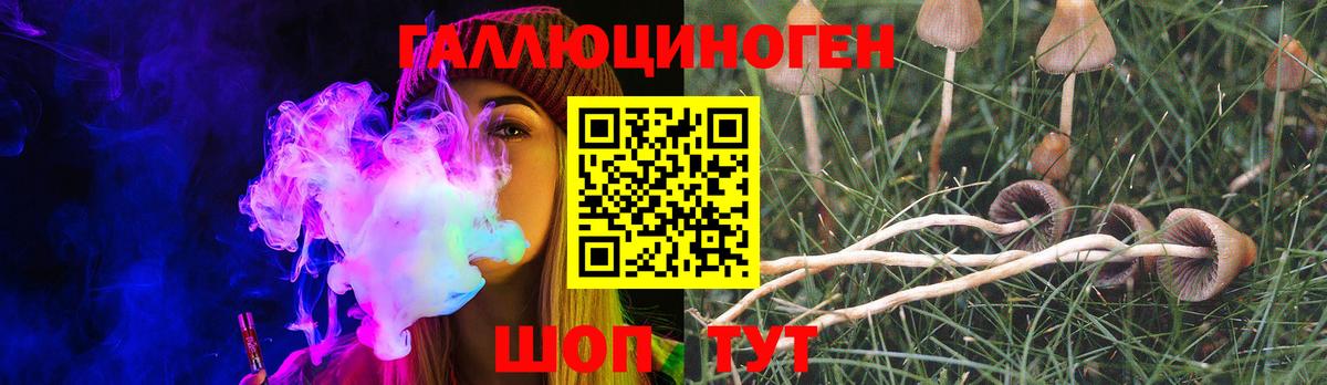 Галлюциногенные грибы Psilocybe Ангарск