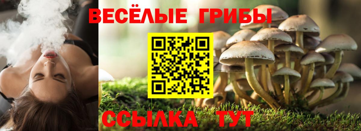 Ангарск  Галлюциногенные грибы ЛСД  Вход с VPN 